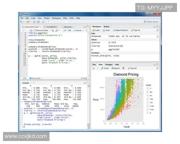 南京攀岩队技术表现数据分析揭示训练效果与提升空间